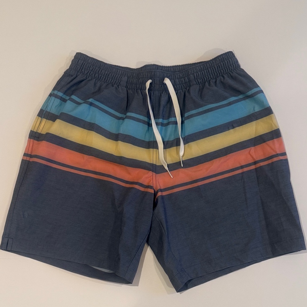 Chubbies Navy Multicolor Striped Swim Trunks in Size Medium